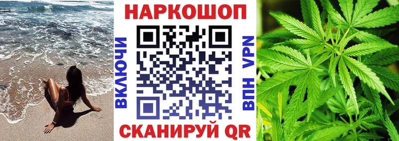 МЕФ Ладушкин