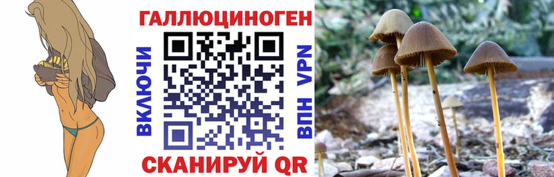 Галлюциногенные грибы мицелий  Ладушкин 